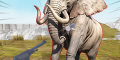 Zoo Anomaly Simulation